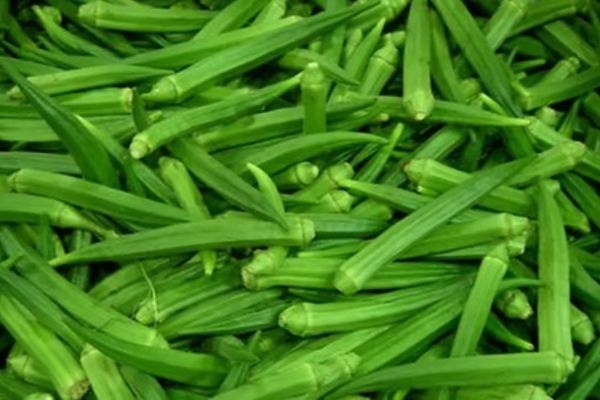 Lady Finger